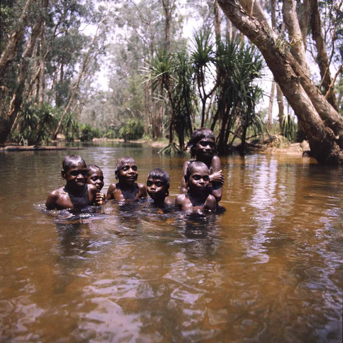 Six Aboriginal boys in a waterhole shaded by pandanus and other trees